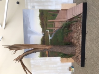 Springbrook Nature Center Project