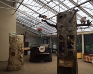 Springbrook Nature Center Project