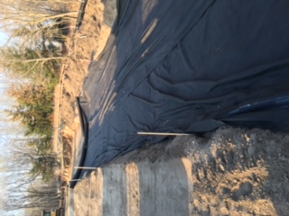 Springbrook Nature Center Project