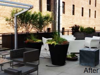Rooftop Patio